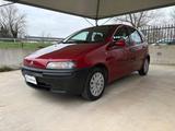 Fiat FIAT Punto 1.2i 16V cat 5 porte HLX OK NEOPATENT - gebrauchte Fiat Punto aus dem Jahr 2002