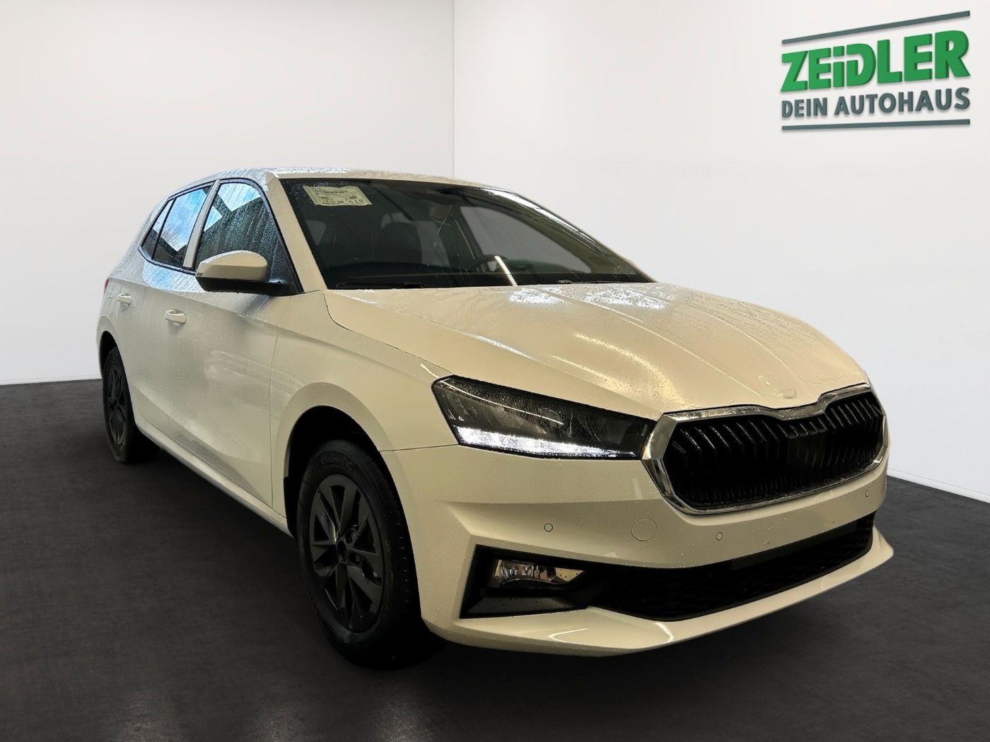 Skoda Fabia 1.0 MPI Selection LM KlimaA beh. FS imagem 2