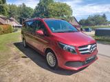 Mercedes-Benz V 220 d Aut. lang EDITION, AHK, 6Sitze, Garantie - gebrauchte Mercedes-Benz V 220 aus dem Jahr 2024