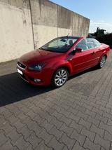Ford Focus Cabrio 1,6 Trend - Ford Focus aus 2008: 1.6