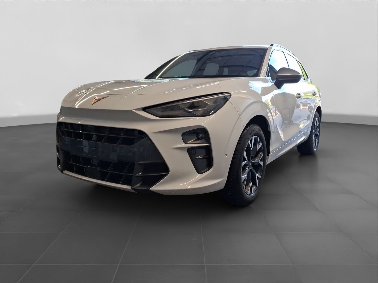 Cupra Terramar - Bild 2