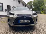 Lexus NX 300h E-Four Executive Line*Panorama* - Lexus in Hamburg: Nx