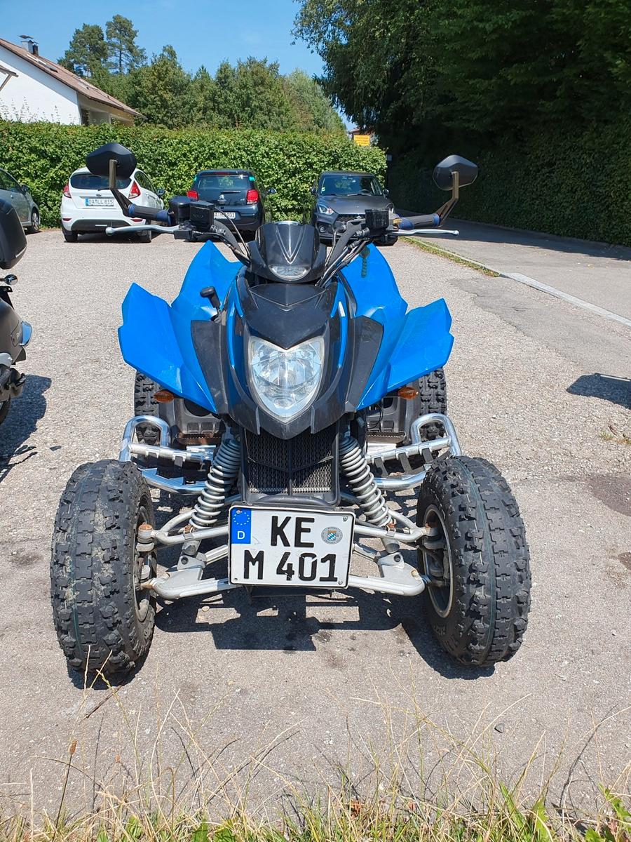 Arctic Cat 300 2011 — engine 271 cm³, 20 HP (15kW)