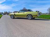 Ford Mustang, Cabrio, H-Kennz., Boss 302 Clone, TOP  - Ford Mustang: 302 Boss