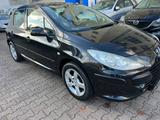 Peugeot 307 Grand Filou Cool - Peugeot 307 mit Anhängerkupplung