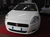 Fiat Punto 1.2 8V 3 porte Easy NEOPATENTATI - Fiat Punto: Easy