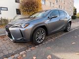 Lexus UX 250h Style Edition  - Lexus Gebrauchtwagen in Nürnberg