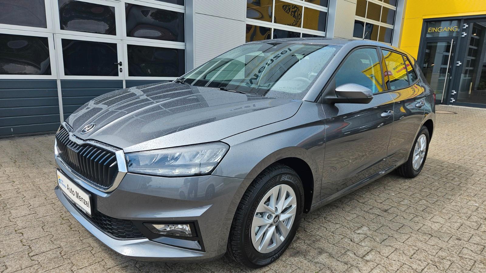 Skoda Fabia Selection AHK/Kam./GRA/PDC/SHZ/5J.o.100Tkm