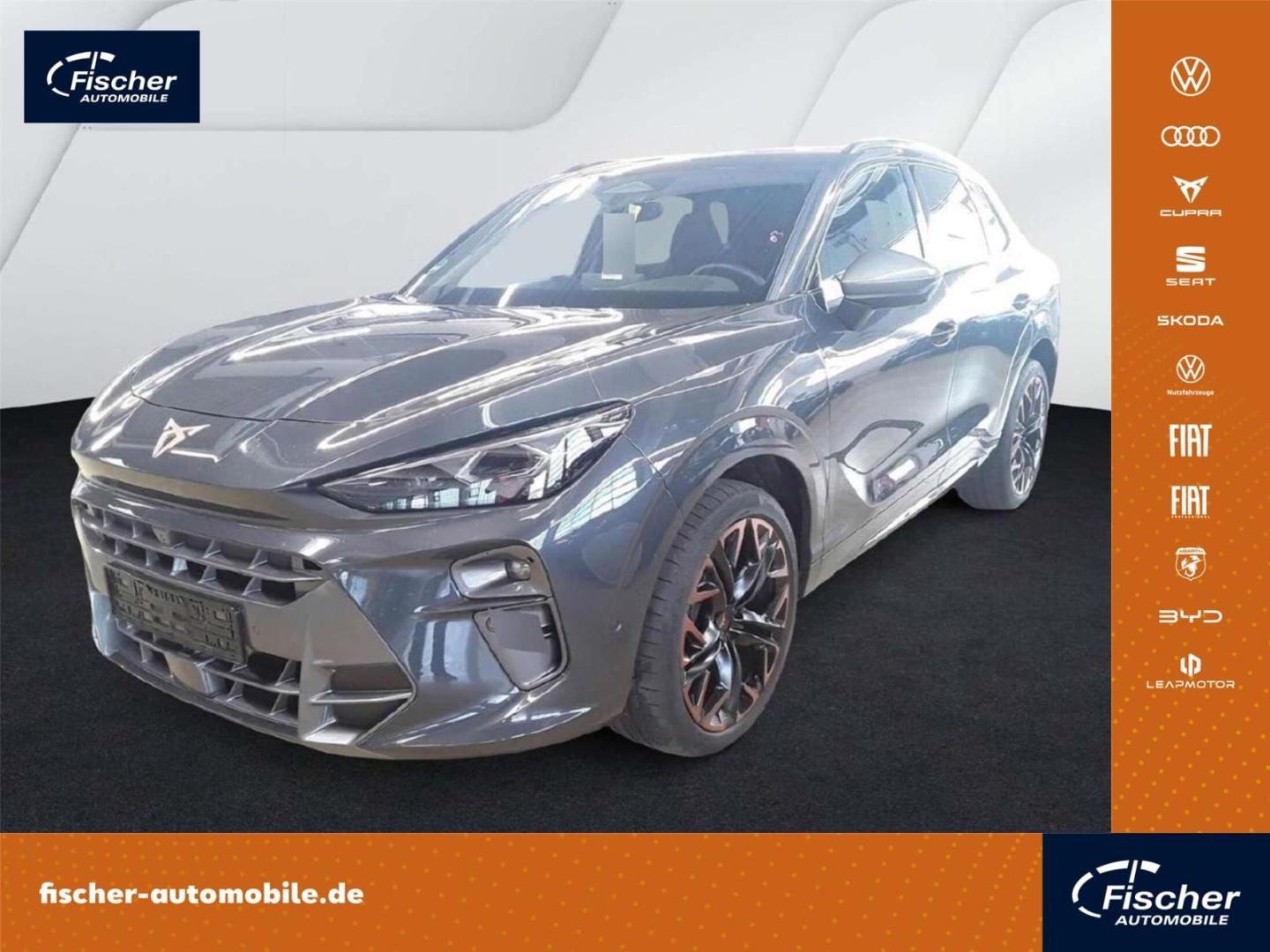 Cupra Terramar 2.0 TSI DSG 4Dr. HUD/Memory/360°/Matrix