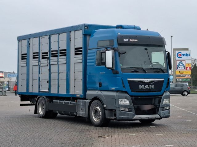 MAN TGX 18.560 Viehtransporter 3.Stock von Menke