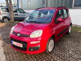 Fiat New Panda 1.3 16V Multijet | HU & AU Neu - rote Fiat New Panda