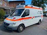 Mercedes-Benz Sprinter  313 CDI, wie 50.000 km - Angebote