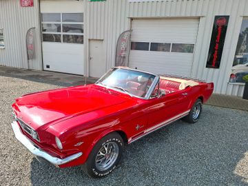 Ford Mustang Cabrio *Leder*Elektr. Verdeck*