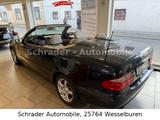 Mercedes-Benz CLK 200 Autom. "Avantgarde" -LEDER-PDC-ALU-KLIMA - Mercedes-Benz CLK 200 Gebrauchtwagen