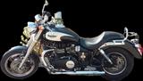 Triumph Speedmaster 986ML2 - Offers