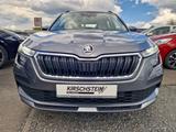 Skoda Kamiq Ambition 1.0 TSI App-Navi PDC Sitzheizung - Skoda Kamiq Gebrauchtwagen