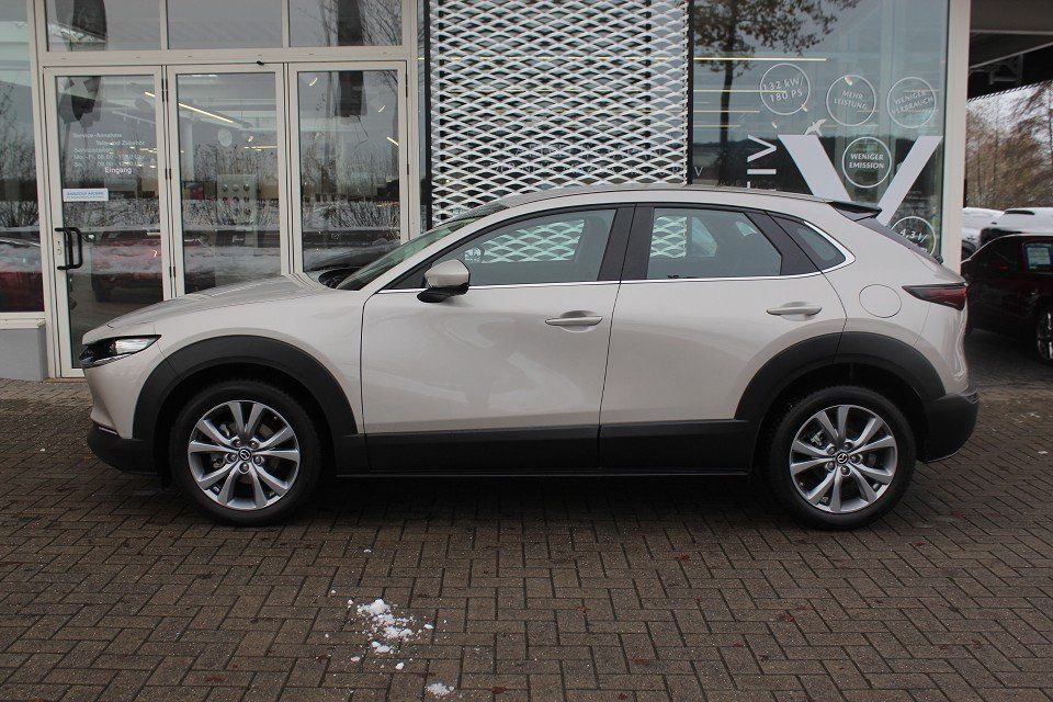 Fahrzeugabbildung Mazda CX-30 M-Hybrid Selection G-122 PRE-P 360° BOSE 1