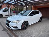 Seat Leon 2.0 TSI Start&Stop CUPRA 300 DSG CUPRA 300 - Seat Leon in Wuppertal