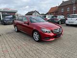 Mercedes-Benz E 220 T BlueTec 9-G Avantgarde ILS DESIGNO NAVI - Mercedes-Benz E 220: Rot