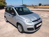 Fiat Panda 1.2 benzina 69 cv Pop - Fiat Panda: Pop