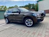 BMW X5 xDrive30d  M Sport  - BMW X5 Gebrauchtwagen in Hamburg