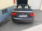 Audi audi a3 8p caprio 2008 - Caprio gebraucht