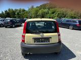 Fiat Panda 1.1 8V Active - Fiat Panda: Gelb