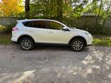 Toyota RAV 4 Executiv Hybrid/Benzin Allrad/Euro6 - weiße Toyota RAV 4
