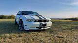 Ford Mustang V8 450PS - Ford: F450