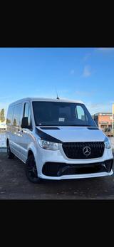 Mercedes-Benz Sprinter III Kasten RWD/316,6-Sizpalz