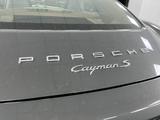 Porsche Cayman 981 S  - Porsche: 981
