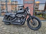Harley-Davidson Sportster XL883N Nightster mit Extras/Auspuff - Harley-Davidson Motorräder in Bielefeld