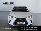 Lexus NX 450h+ E-FOUR Business Line *LED*360°*ACC*Navi - Lexus NX-Serie Jahreswagen