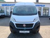 Fiat Ducato Kasten 350 L2H2 für den Umbau zum Camper! - Fiat Ducato 2 3