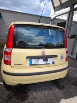 Fiat Panda - Fiat Panda aus 2010: Allradantrieb