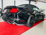 Ford Mustang 5.0 Ti-VCT V8 GT -Shelby GT350 Optik - Ford Mustang: Gt350 Shelby