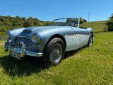 Austin Healey 100/6 BN6L - Austin Healey Gebrauchtwagen