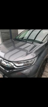 Honda Crv 7 Sitzer - Honda Accord: 7