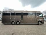 Mercedes-Benz 2651 STX 5 Pferde DOP. POP-OUT+POP-UP  EXKLUSIVE - Tier- & Pferdetransport für 2 Pferde