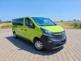 Opel Vivaro - Opel Vivaro: Grün