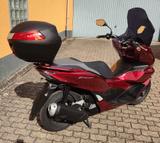 Honda PCX 125     Sehr gut - HONDA HONDA125