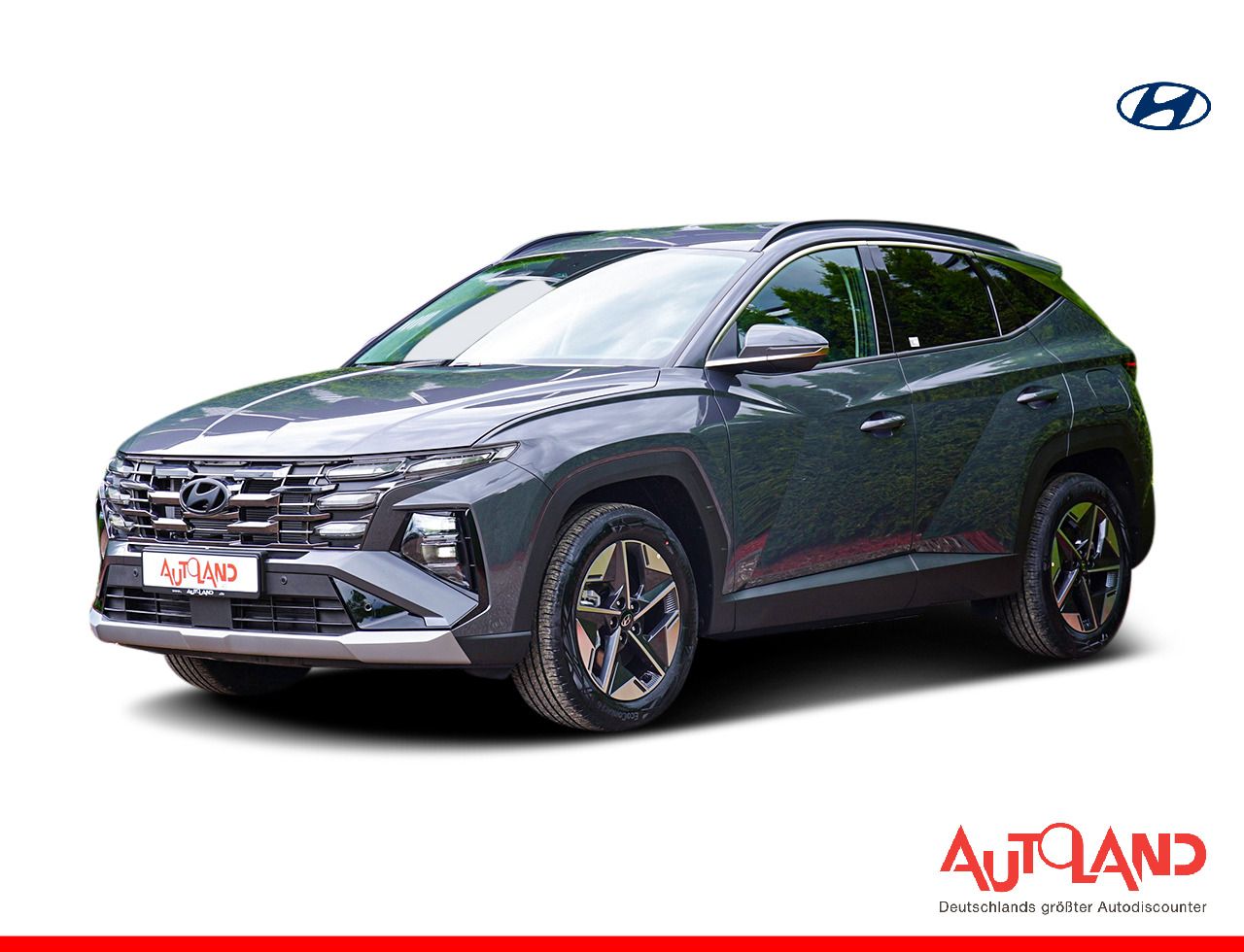 Hyundai Tucson 1.6 T-GDI 4WD Aut. Matrix ACC Navi Kamera