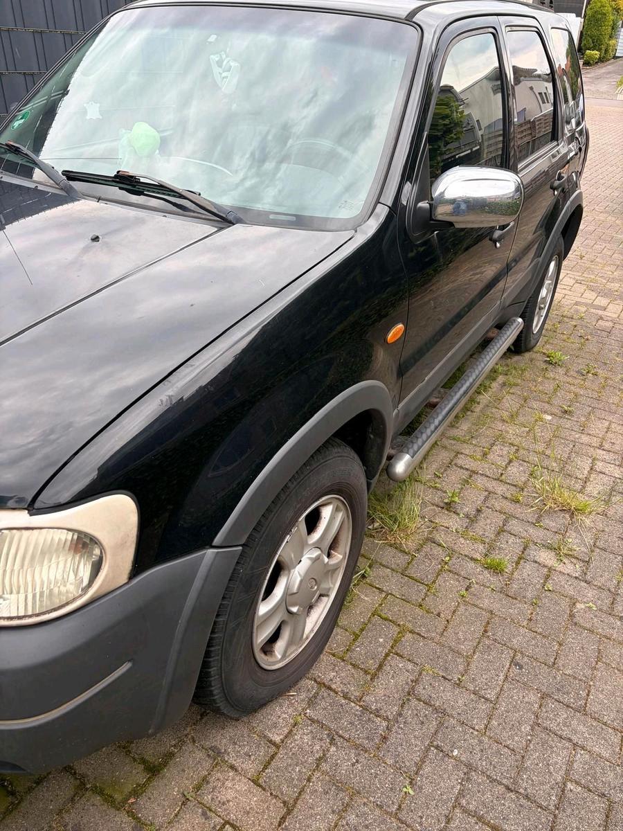 Ford Andere