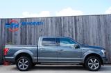 Ford F 150 3.5 V6 Platinum Pano Navi LPG 272KW Euro 6 - Ford F 150 mit Panoramadach