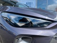 Cupra Terramar VZ 2.0 TSI DSG 4Drive LEDER AHK 5J GAR bei Autohaus Landmann & Maier OHG