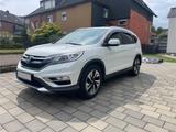 Honda CR-V 1.6i-DTEC 2WD Lifestyle,AHK,Scheckheft,Lede - Honda CR-V von privat