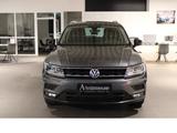 Volkswagen Tiguan 2.0 IQ Drive 4Motion* LED*NAVI*DSG* - mit Diesel-Antrieb: Grau, mit Navigationssystem, mit Klimaanlage