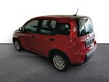 Fiat Panda Pandina City Paket DAB Spurhalteass. Verke - Fiat Panda Jahreswagen