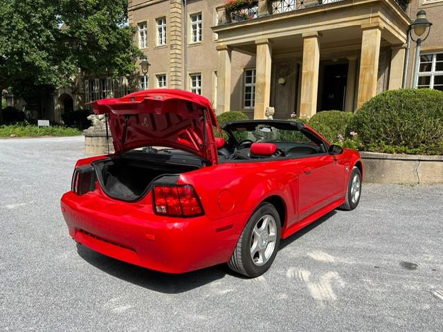 Ford Mustang Leder
