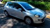 Fiat Punto 1.4 8V Start&Stopp Active Active - Fiat Punto Star mit Benzin-Antrieb